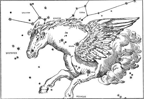 Constellation Pegasus