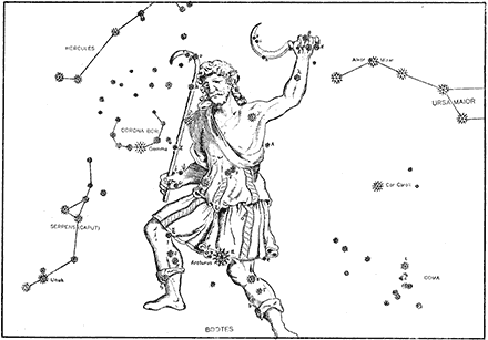 Constellation Bootes