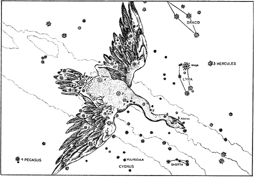 Constellation Leo