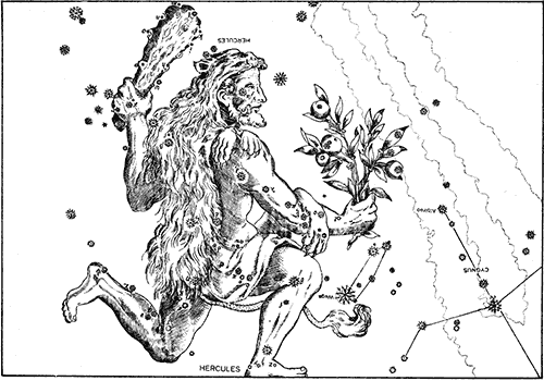 Constellation Hercules